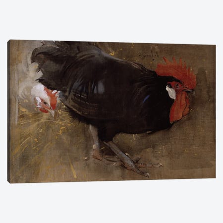 The Black Cock  Canvas Print #BMN3418} by Joseph Crawhall Canvas Art