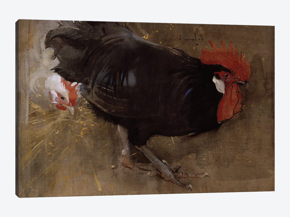 The Black Cock  1-piece Art Print