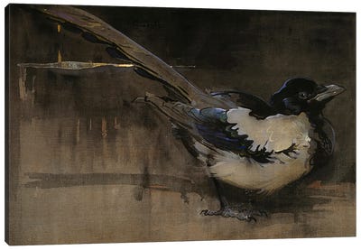 The Magpie  Canvas Art Print