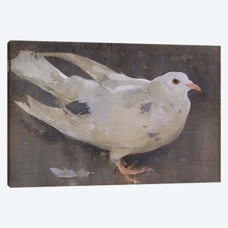 The Pigeon  Canvas Print #BMN3420} by Joseph Crawhall Canvas Print