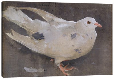 The Pigeon  Canvas Art Print