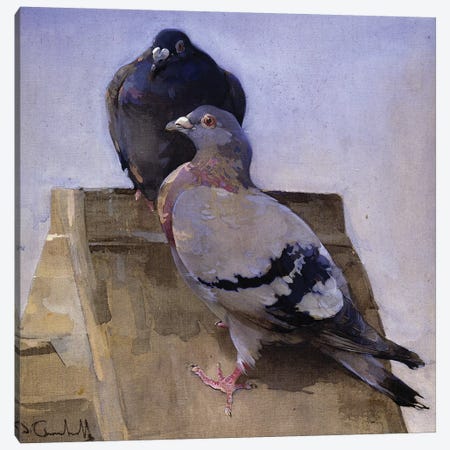 Pigeons on the Roof  Canvas Print #BMN3421} by Joseph Crawhall Canvas Print