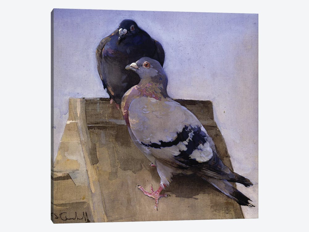 Pigeons on the Roof  by Joseph Crawhall 1-piece Canvas Art Print