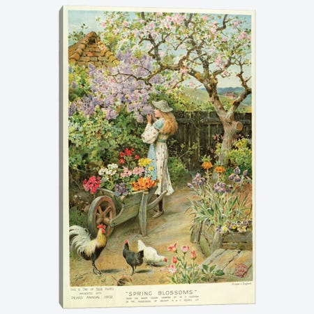 Spring Blossoms, from the Pears Annual, 1902 Canvas Print #BMN343} by William Stephen Coleman Art Print