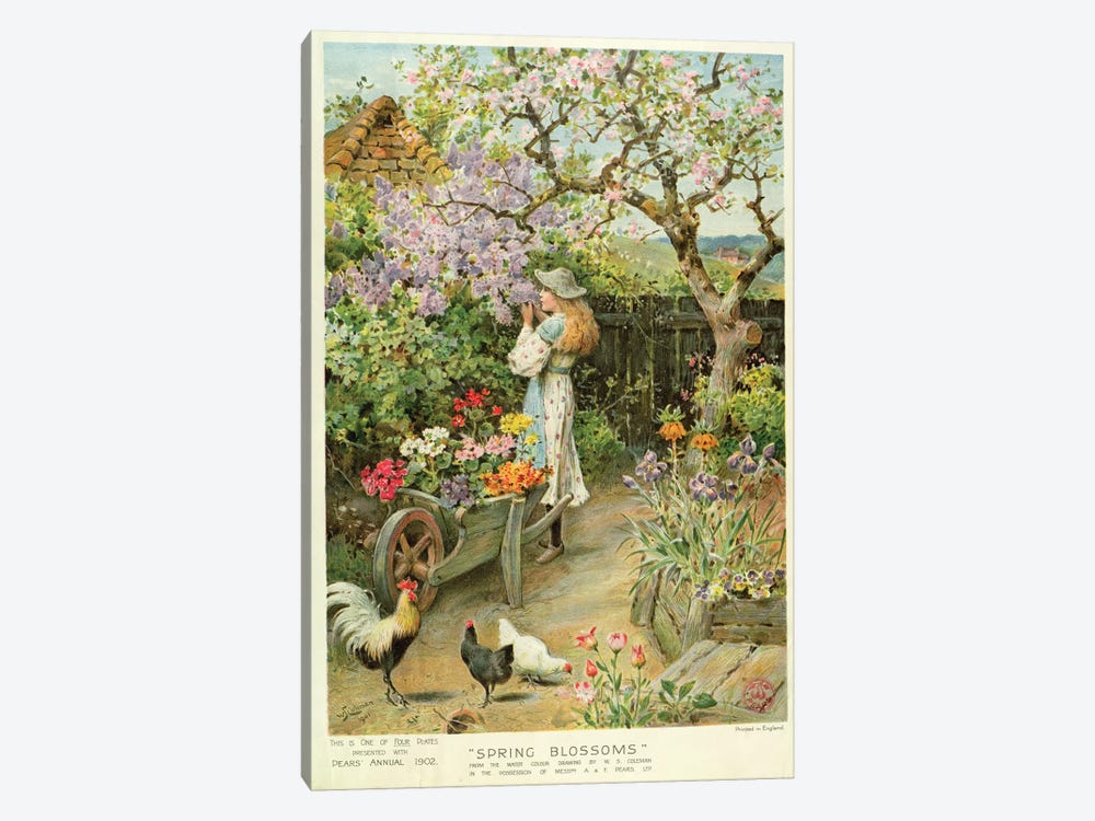 Spring Blossoms, from the Pears Annual, 1902 by William Stephen Coleman 1-piece Canvas Art