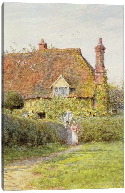 Sunflower Cottage  Canvas Art Print