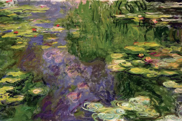 Waterlilies 