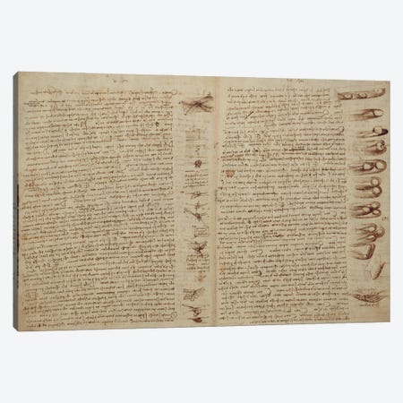 A page from the Codex Leicester, 1508-12  Canvas Print #BMN3524} by Leonardo da Vinci Canvas Art Print