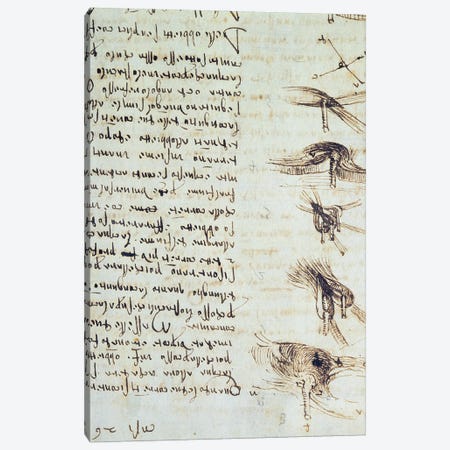 Scientific diagrams, from the 'Codex Leicester', 1508-12  Canvas Print #BMN3528} by Leonardo da Vinci Canvas Artwork