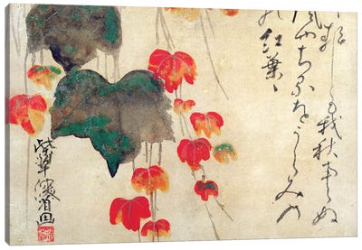 Poppies  Canvas Art Print - Japanese Décor