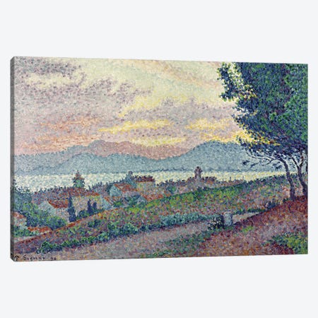 St. Tropez, Pinewood, 1896  Canvas Print #BMN353} by Paul Signac Canvas Artwork