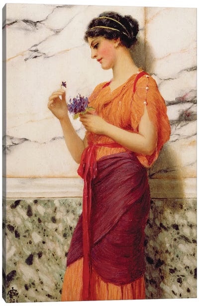 Violets, 1908  Canvas Art Print