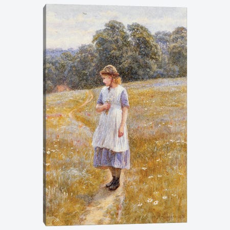 Daydreamer, 1878  Canvas Print #BMN3568} by Helen Allingham Canvas Wall Art