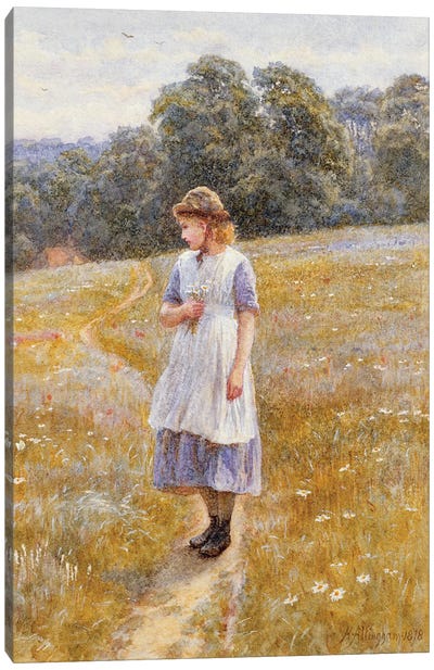 Daydreamer, 1878  Canvas Art Print
