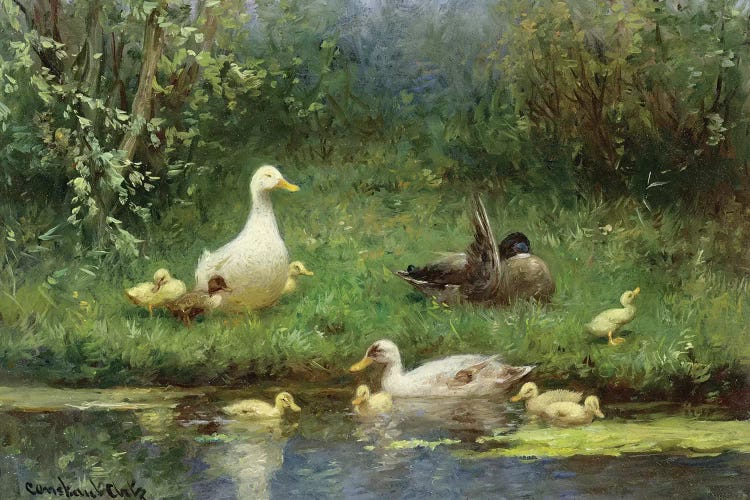 Ducks on a riverbank 