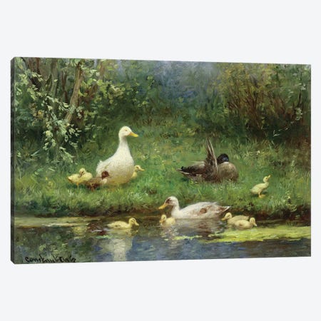 Ducks on a riverbank  Canvas Print #BMN3571} by David Adolph Constant Artz Art Print