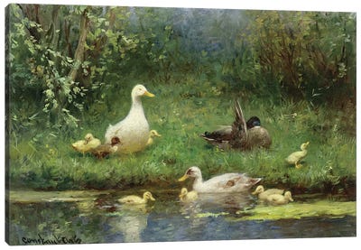Ducks on a riverbank  Canvas Art Print - Duck Art