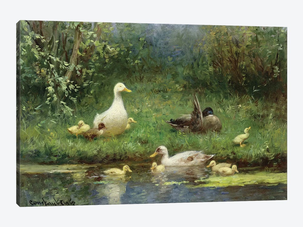 Ducks on a riverbank  by David Adolph Constant Artz 1-piece Canvas Art Print