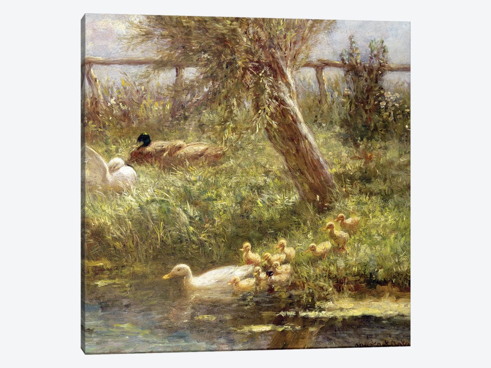 Ducks and ducklings  by David Adolph Constant Artz 1-piece Canvas Wall Art