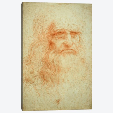 Self Portrait, c.1515-16 (Musei Reali Torino) Canvas Print #BMN3581} by Leonardo da Vinci Canvas Artwork