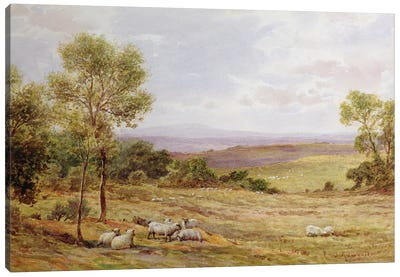 Cumberland hills from Wardrew House, Gilston  Canvas Art Print