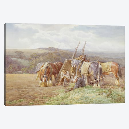 Resting in the Field  Canvas Print #BMN3596} by Charles James Adams Canvas Artwork