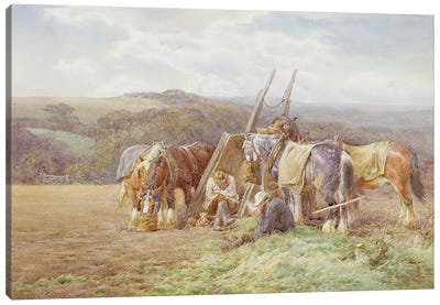 Resting in the Field  Canvas Art Print