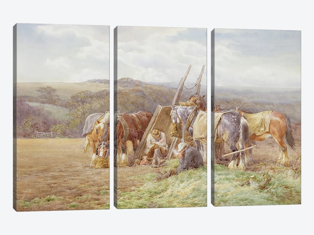 Resting in the Field  3-piece Canvas Wall Art