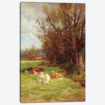 Cattle grazing  Canvas Print #BMN3599} by Charles James Adams Art Print