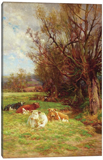 Cattle grazing  Canvas Art Print