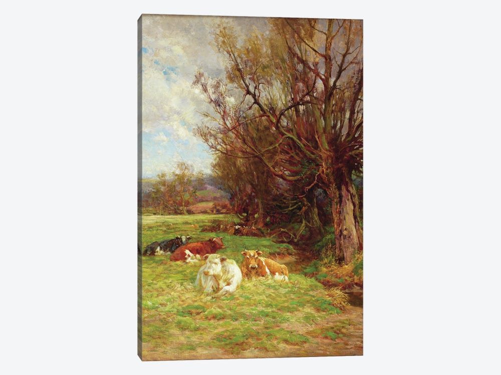 Cattle grazing  1-piece Canvas Art Print
