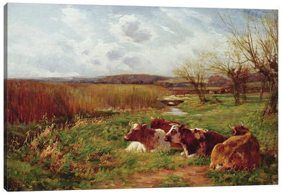 In the Meadow  Canvas Art Print