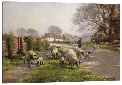 Springtime, 1918  Canvas Art Print - Sheep Art