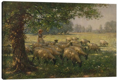 The Shepherdess  Canvas Art Print - Best Selling Animal Art