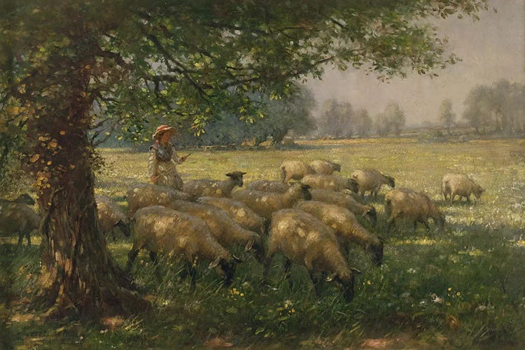 The Shepherdess 