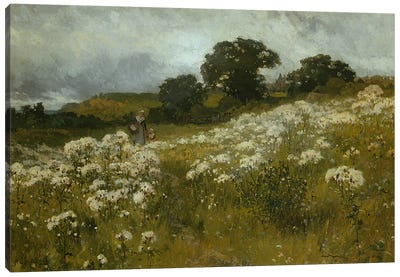 Across the Fields  Canvas Art Print