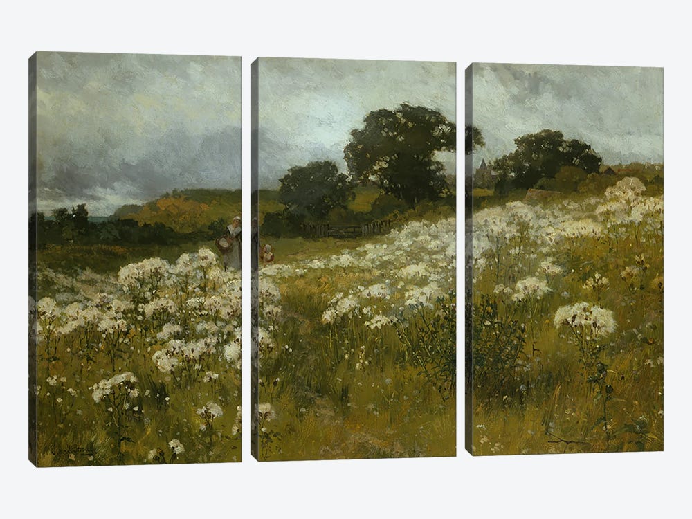 Across the Fields  3-piece Canvas Art