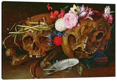 Vanitas Still Life with Skulls, Flowers, a pearl mussel shell, a bubble and straw  Canvas Art Print