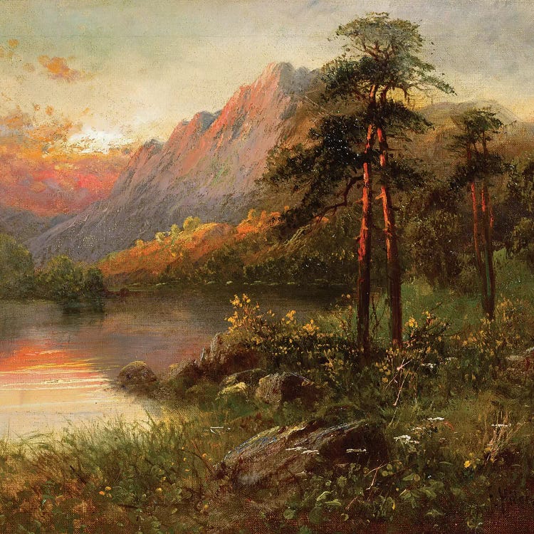Highland Solitude 