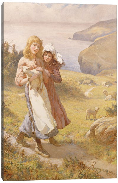 The Lost Lamb  Canvas Art Print
