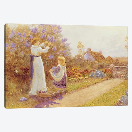 Lilacs, 1899  Canvas Print #BMN3700} by Thomas James Lloyd Canvas Artwork