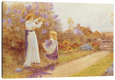Lilacs, 1899  Canvas Art Print
