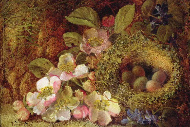 Springtime  by Vincent Clare wall art