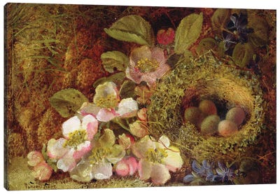 Springtime  Canvas Art Print - Nests