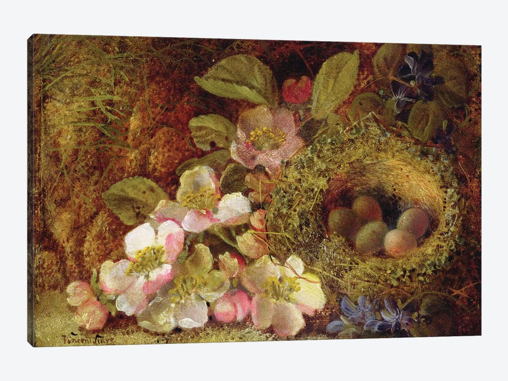Springtime  by Vincent Clare 1-piece Canvas Print