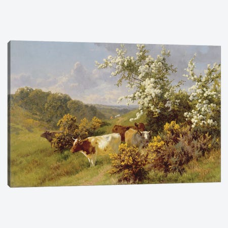 May Blossom  Canvas Print #BMN3727} by Charles Collins Art Print