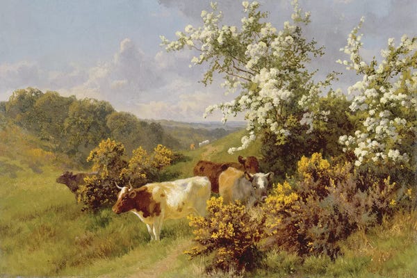 Countrysides: May Blossom  by Charles Collins