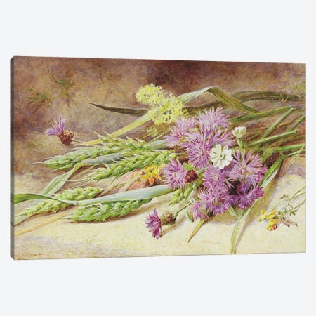 Green Wheat and Wild Flowers  Canvas Print #BMN3733} by Helen Cordelia Coleman Angell Art Print