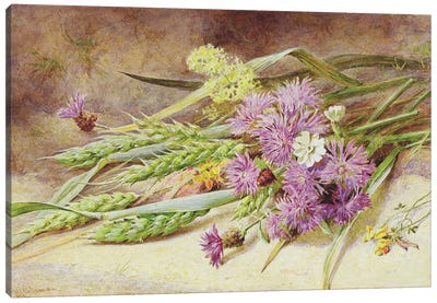 Green Wheat and Wild Flowers  Canvas Art Print