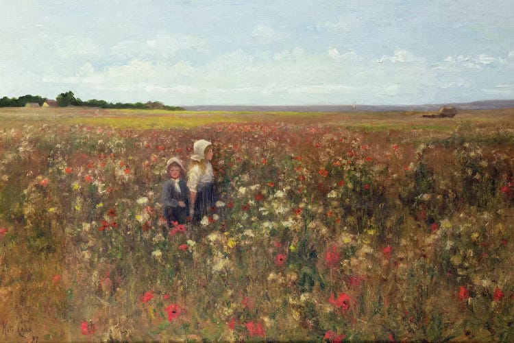The Poppyfield, 1897 